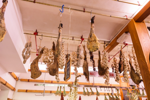 Tuscany July 2023-501