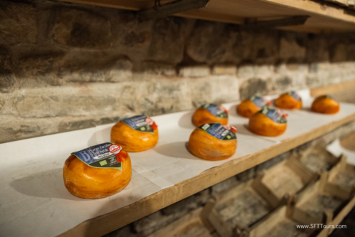 Tuscany July 2023-502