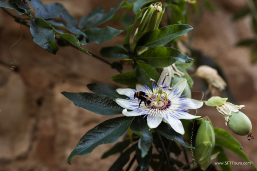 Tuscany July 2023-543