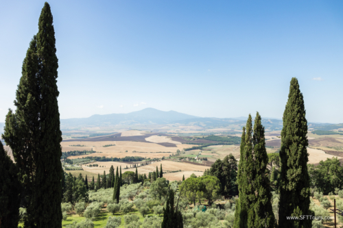 Tuscany July 2023-567