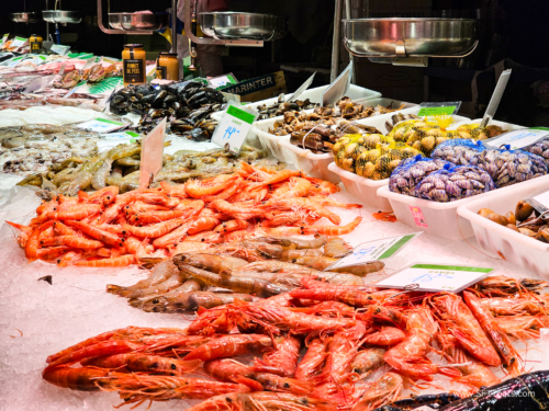 Sensual BCN Oct 2023 (small)-076