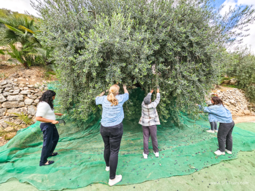 Sensual BCN Oct 2023 (small)-378