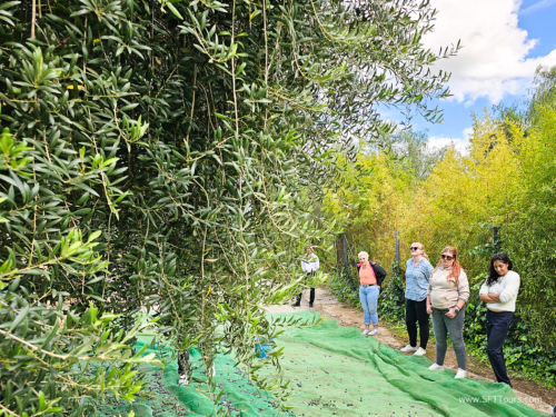 Sensual BCN Oct 2023 (small)-382