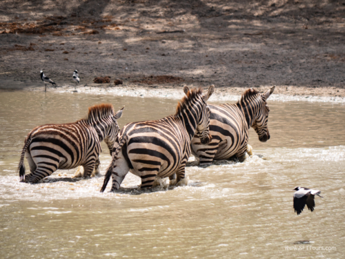 Tanzania luxe Oct 2023 (small)-055