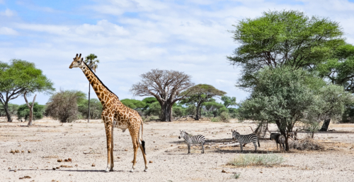 Tanzania luxe Oct 2023 (small)-070