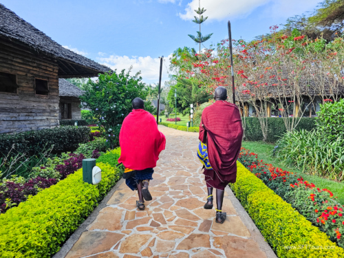 Tanzania luxe Oct 2023 (small)-100