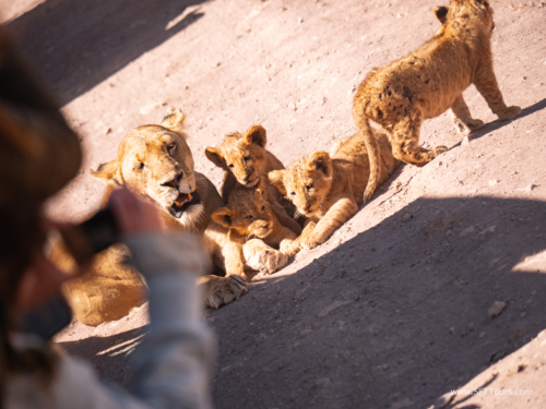 Tanzania luxe Oct 2023 (small)-124
