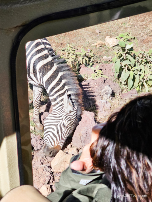 Tanzania luxe Oct 2023 (small)-129