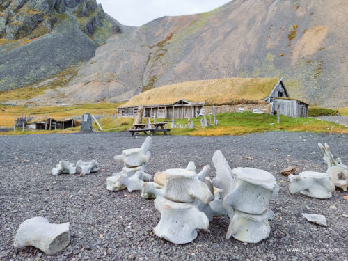 Iceland 1 Oct 2023 (small)-124