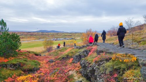 Iceland 1 Oct 2023 (small)-231