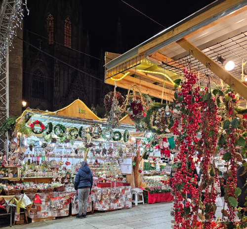 Sensual Barcelona 2023 (Small)-15