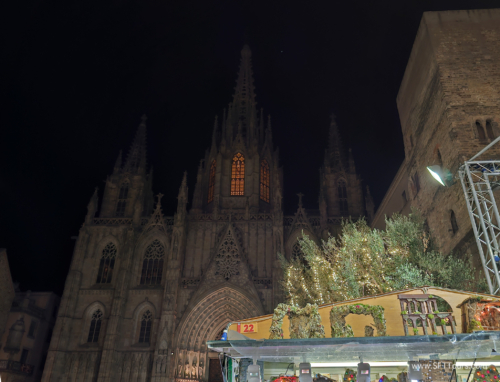 Sensual Barcelona 2023 (Small)-18