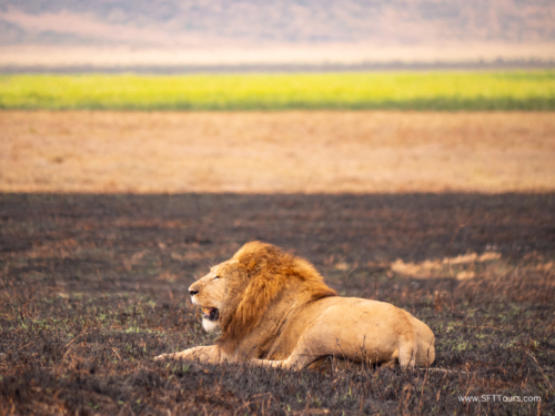 Tanzania luxe Oct 2023 (small)-165