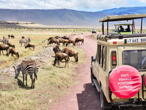 Tanzania luxe Oct 2023 (small)-170