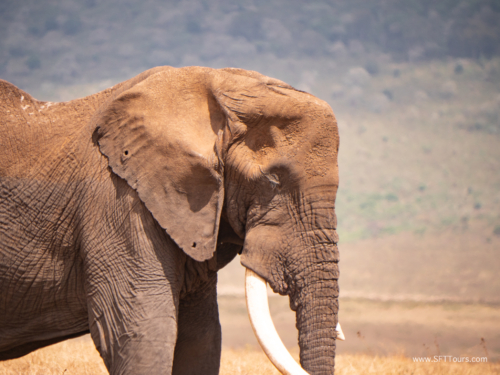 Tanzania luxe Oct 2023 (small)-185