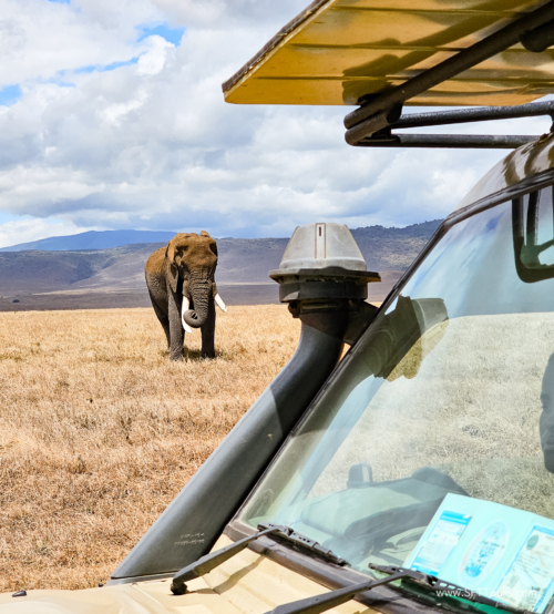 Tanzania luxe Oct 2023 (small)-210