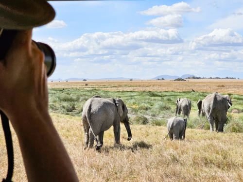 Tanzania luxe Oct 2023 (small)-261