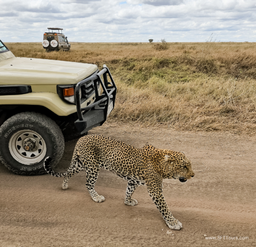 Tanzania luxe Oct 2023 (small)-301