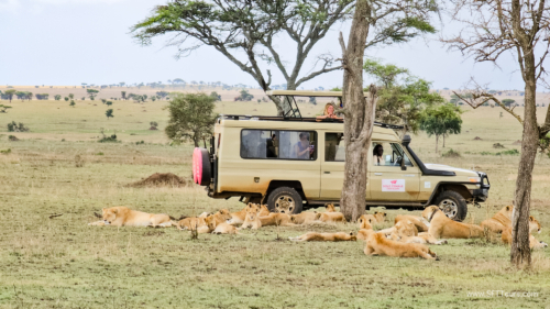 Tanzania luxe Oct 2023 (small)-358