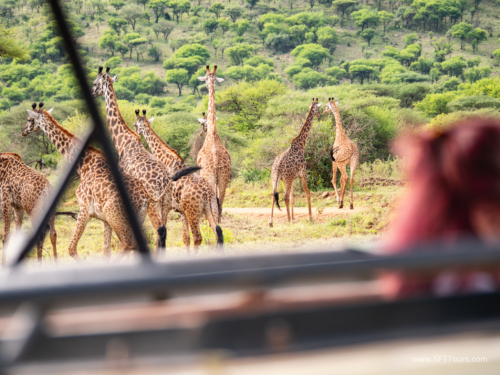 Tanzania luxe Oct 2023 (small)-366