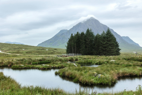 Scotland_Jul_2024_L599