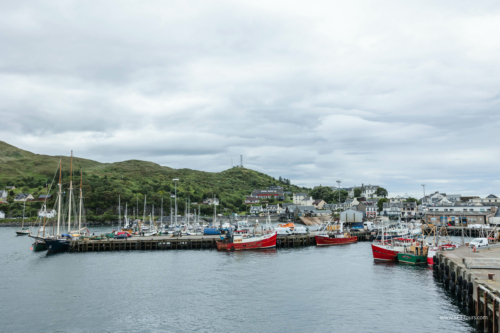 Scotland_Jul_2024_L637