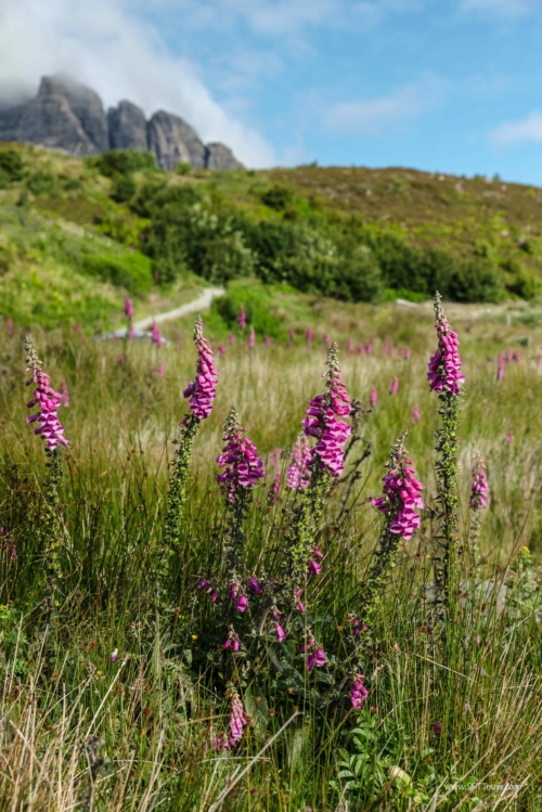 Scotland_Jul_2024_L720