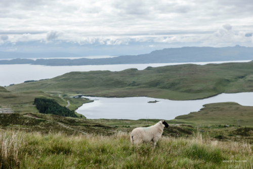 Scotland_Jul_2024_L750