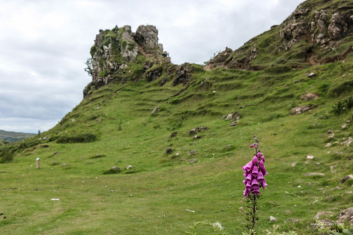 Scotland_Jul_2024_L792