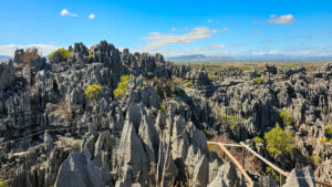 Madagascar_2024_L-106