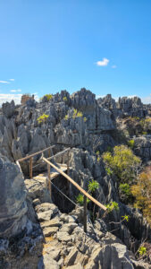 Madagascar_2024_L-107