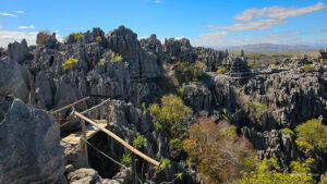 Madagascar_2024_L-108