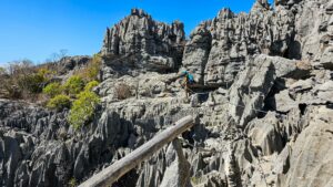 Madagascar_2024_L-110