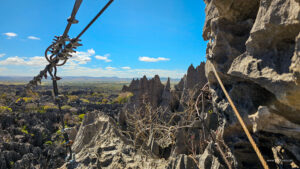 Madagascar_2024_L-113