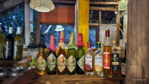 Madagascar_2024_L-132