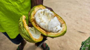 Madagascar_2024_L-135