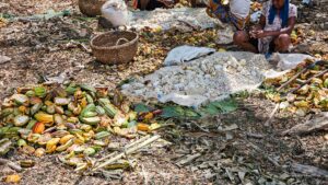 Madagascar_2024_L-138