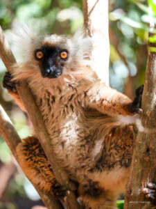 Madagascar_2024_L-14