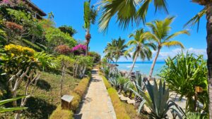 Madagascar_2024_L-157