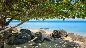 Madagascar_2024_L-160