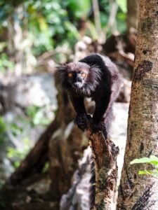 Madagascar_2024_L-170