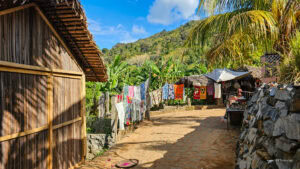 Madagascar_2024_L-179