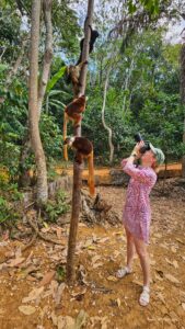 Madagascar_2024_L-187