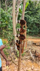 Madagascar_2024_L-189