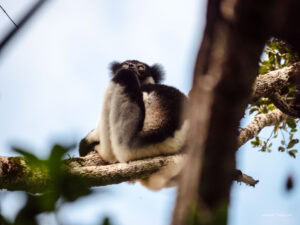 Madagascar_2024_L-208