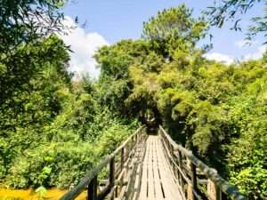 Madagascar_2024_L-220