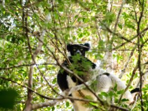 Madagascar_2024_L-221