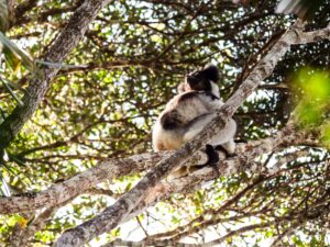 Madagascar_2024_L-222