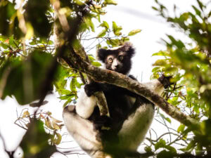 Madagascar_2024_L-224