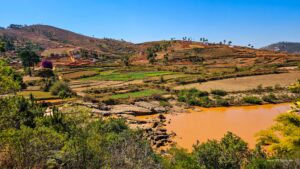 Madagascar_2024_L-37